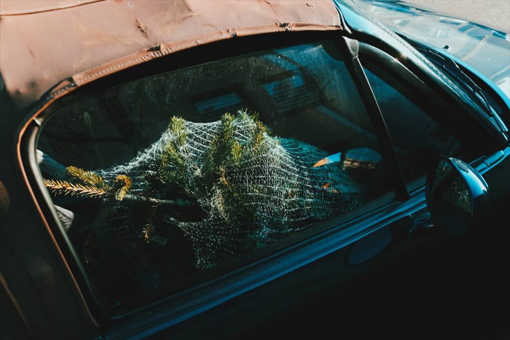 Christmas Tree in a convertible car